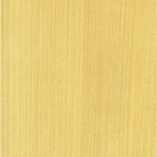 白象牙 Koto